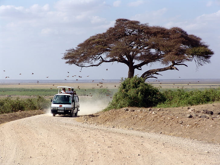 Minibus on safari